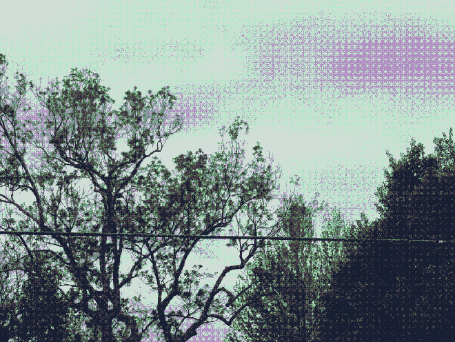 Even more trees