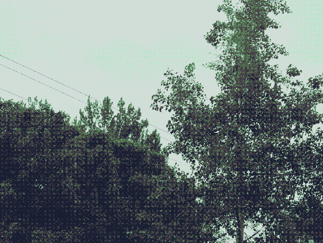 More trees