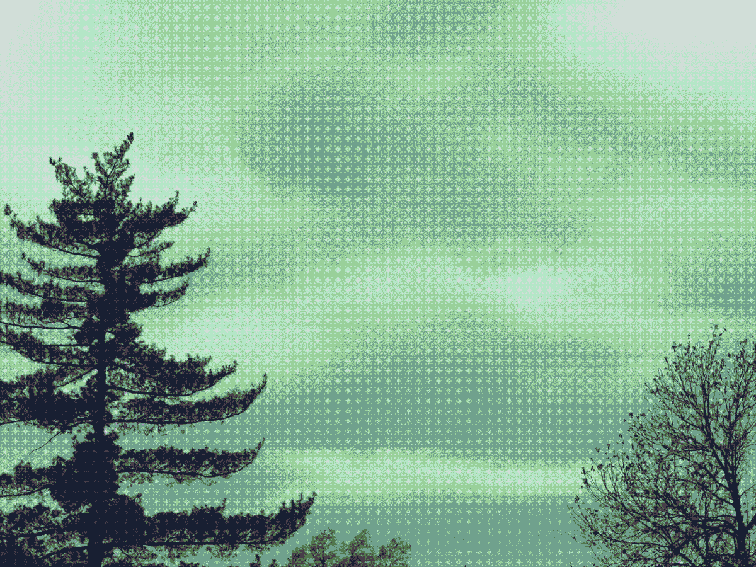 Two trees