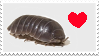 Isopod stamp
