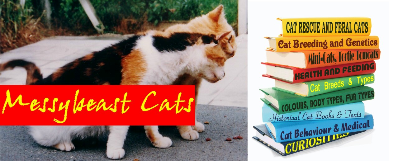 Messybeast
